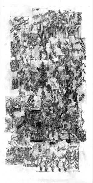 MICHAEL S. LEE - These Things Are All - Inchiostro e grafite su carta, 2011 - 116 x 224 x 5,5 cm incorniciato