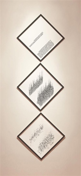 ERIC ROSS BERNSTEIN - Times New Roman, Borges - Giclée Print, 2011 - 68 x 68 x 3 cm ciascuno incorniciato - 68 x 204 x 3 cm installati - Edizione unica
